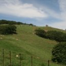 일석목장 이미지