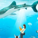 부산해양자연사박물관 이미지