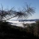 자연산약초마을 이미지