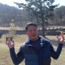 아라둘레 Daum카페