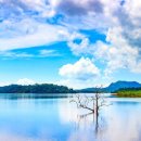 그림, 그리다 이미지