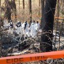 서구상사 이미지