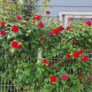 원데이클래스-도예 이미지