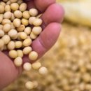 직접만든두부집 이미지