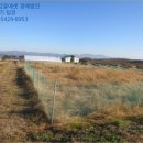 서면 신매1리 경로당 이미지