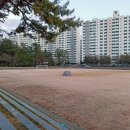 밀양공설운동장 이미지
