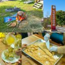 녹색농심인삼체험마을 이미지