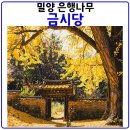 금시당 - 동두천시 지행로 63 | 금시당