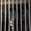 웅담2농장 이미지