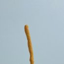 GS25 해운화목점 이미지