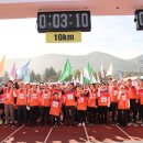 청도군-16 이미지