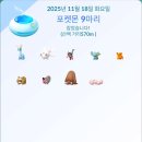 쇼팽과 샌드위치 | 생일!!방어파티@@+ suchmos 서치모스 내한 후기+ 도시락싸는 대하건생+ 주토피아 !! 단풍 멋드러지는...