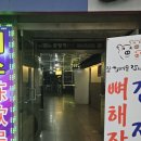 로타리게임장 이미지