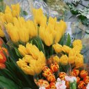 대구학문외과의원 | [치질수술후기] 치질수술 후 한달 회복 상태 (마지막 내원)