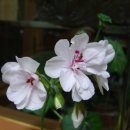 창가의 풍경 이미지