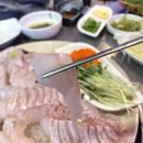 인천 간석동 대왕대포 해산물이 싱싱한 횟집 (ft. 간석동 다금바리 맛집)