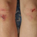 하대야동 이미지