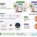 마이데이