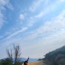 펜타뷰골프클럽 이미지