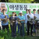 전북야생동물구조관리센터 이미지