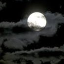 구름에달가듯이 이미지