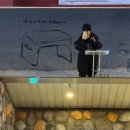 바스멍 | 강릉 바스투 체어 카페 낮엔 카페 밤엔 펍 후기 :)