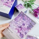 향기로운집 | 향기로운 집 보네센트 샤쉐 옷장방향제로 선택하세요