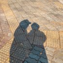 송아지다방 - 미추홀구 | 송아지다방