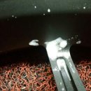 BBS모터스 이미지