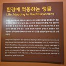 무도파마의 강화도 역사여행2｜비 오는 날에도 만족! 강화자연사박물관 완벽 가이드