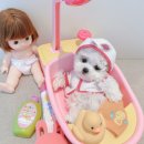 디어마이퍼피 이미지