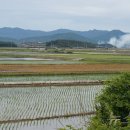전두간척지 뉴스1