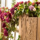 토브하우스 이미지