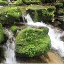 생곡리 미약골 이미지