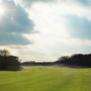 테디벨리 이미지