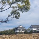 다몬빌딩 | [해외여행/일본] &#34;오사카 3박 4일 3,4일차&#34; | 오사카성 | 신사이바시 파르코(지브리샵, 짱구샵 등등...