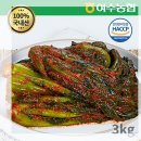 여수농협 여수돌산 갓김치 (국내산), 3kg, 1개