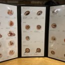 홍익돈까스 수변공원점 이미지