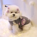 멍멍플라워 이미지