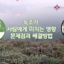 새우일 산소 이미지