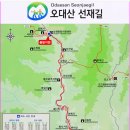 10월 18(수) 00대명산/오대산 명품 숲길~~/ 고즈녁한 천년 숲 선재길 단풍 트래킹/조중식(찰밥)제공/♡38,000원. 이미지