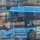 100번주유소 이미지