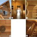 소나무 숲 속에 소나무로 완성한 통나무집 이미지