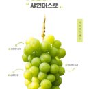 샤인산업개발