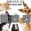 연동로 | 인천 고양이 보호소 선택 기준｜후기보다 먼저 확인할 체크 항목