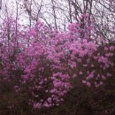 월암마을회관 이미지