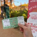 메타세콰이어길 | 광주 근교 단풍구경 담양 메타세콰이어길 방문후기(입장료,주차정보)