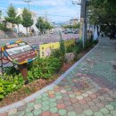 능포초등학교 이미지