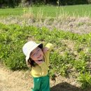 세희목장 이미지