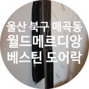 동해안로R | 매곡도어락 울산 북구 매곡동 월드메르디앙 베스틴도어락 IDL-312R 안면인식도어락